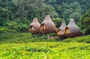 Tempat Wisata di Bandung yang Wajib Dikunjungi untuk Liburan Seru dan Memukau